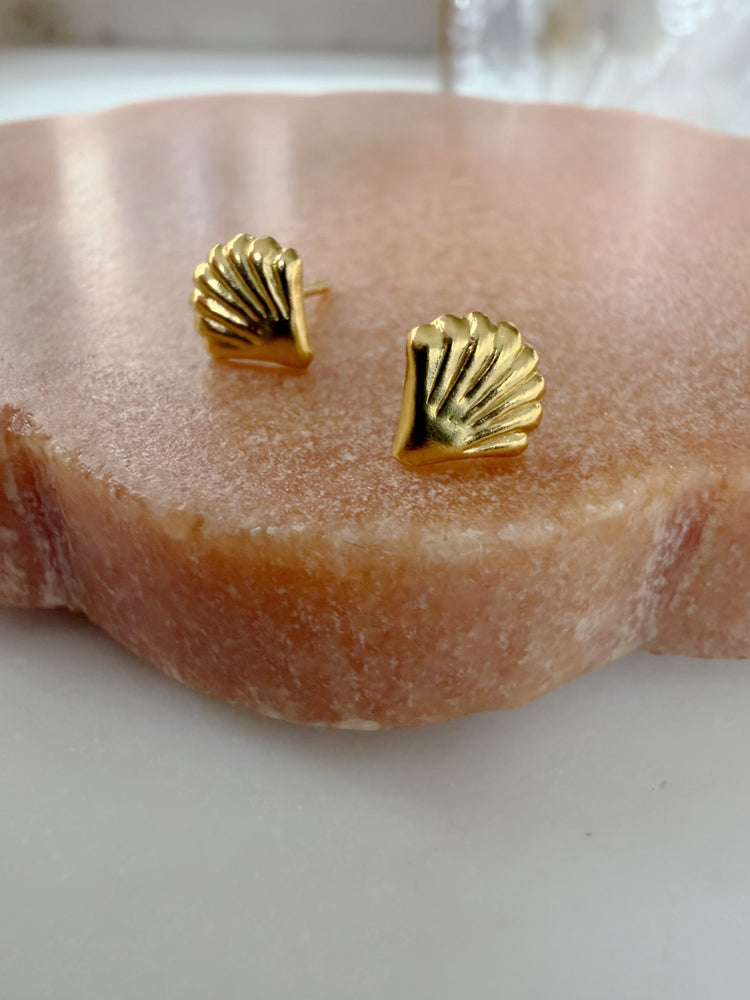 Shell Studs