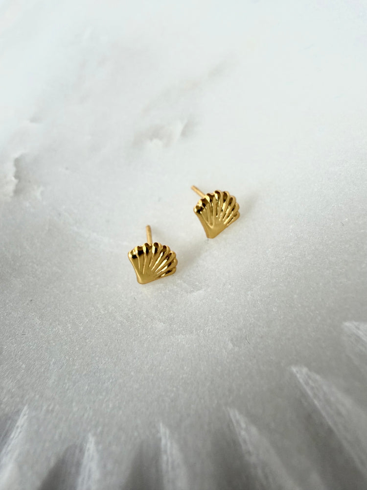Shell Studs