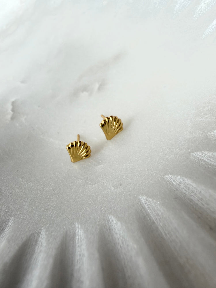 Shell Studs