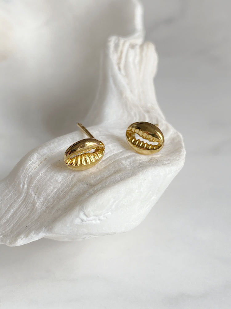 Cowrie Shell Studs